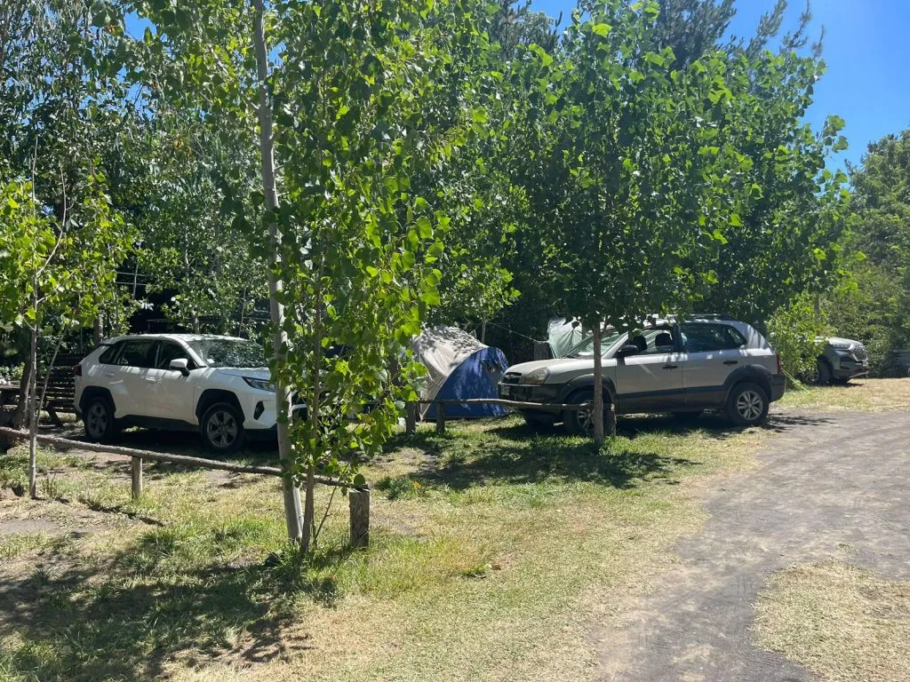 Sitios de camping con carpas y autos bajo álamos en Aguas Verdes