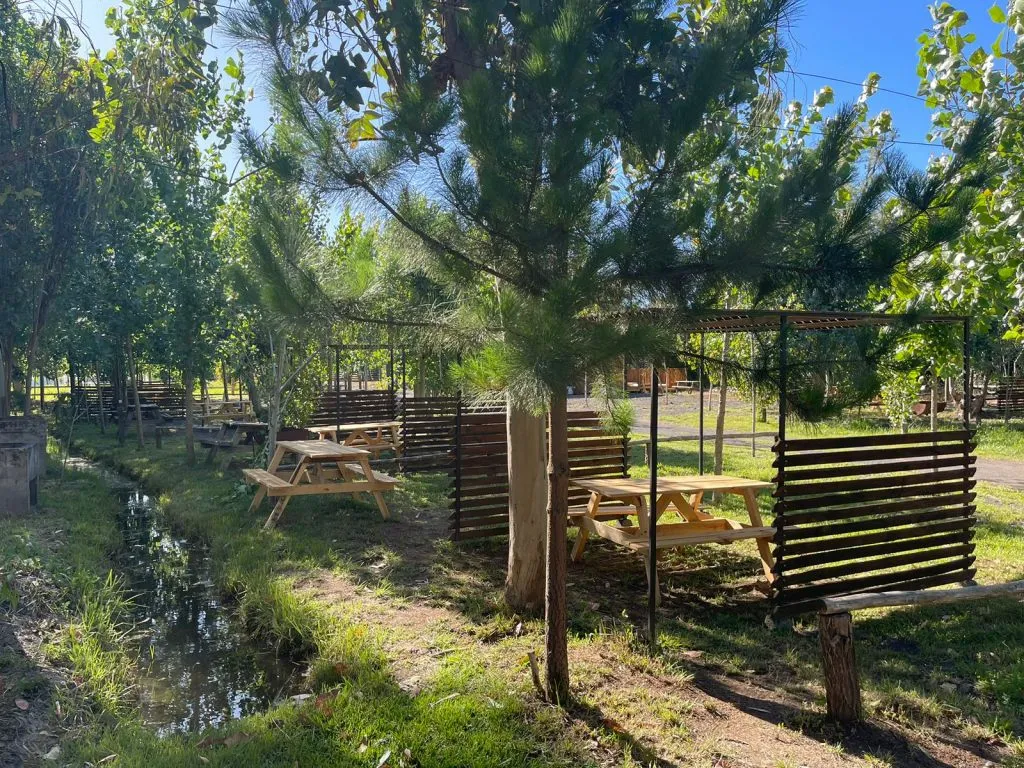 Zona de picnic con mesas, quinchos y estero junto a pinos en Aguas Verdes